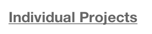 Individual Projects